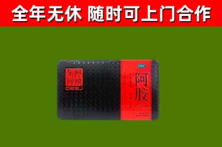 定安市回收阿胶